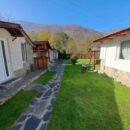 Vila Cabanute Alex Capalna Exteriér fotografie