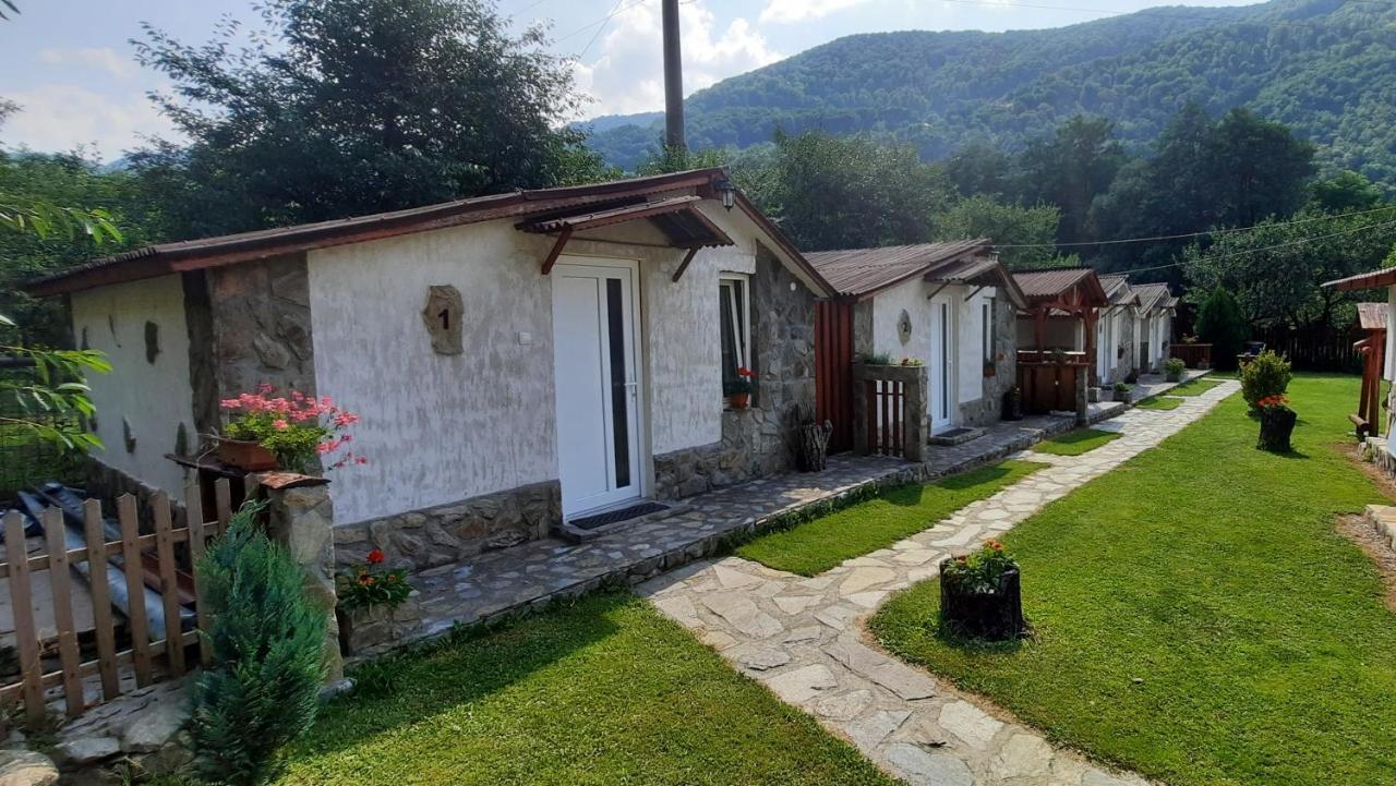 Vila Cabanute Alex Capalna Exteriér fotografie