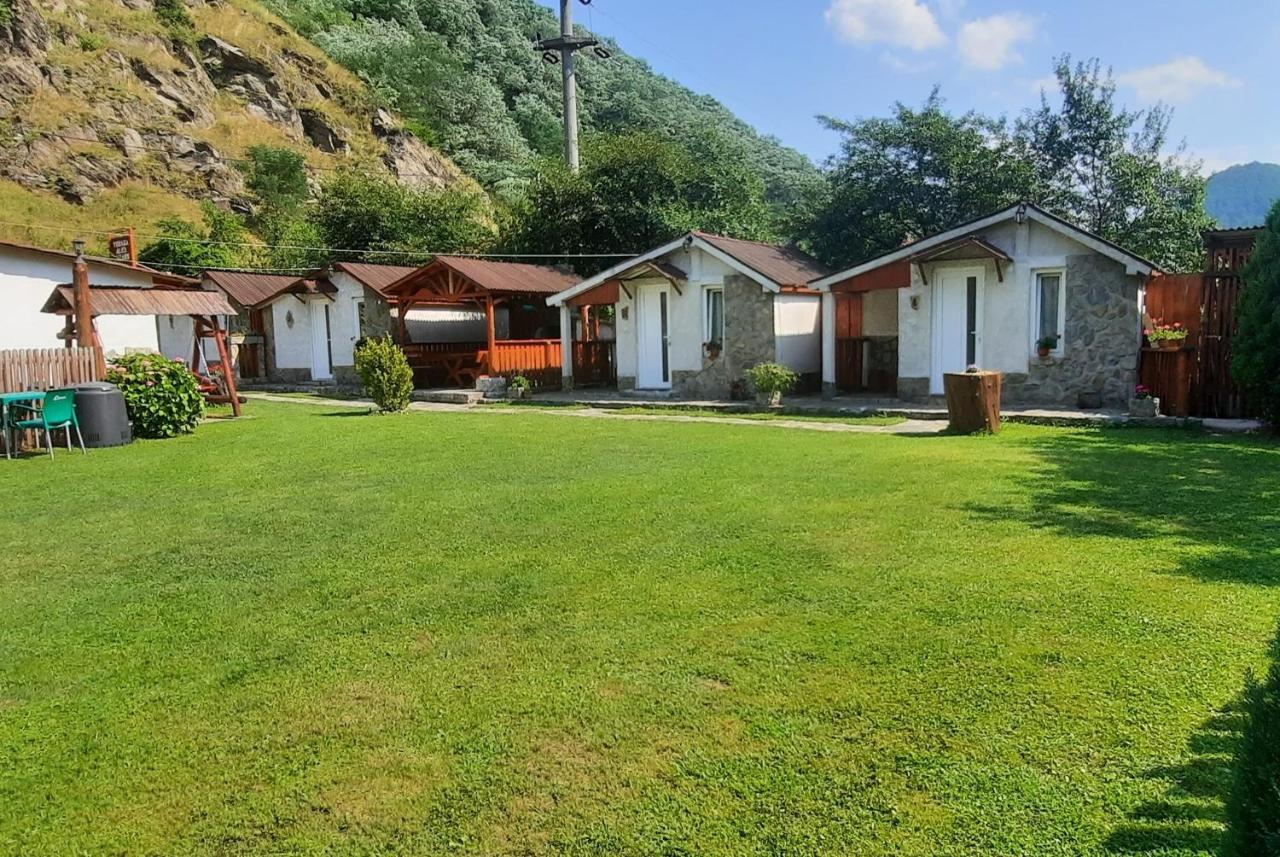 Vila Cabanute Alex Capalna Exteriér fotografie