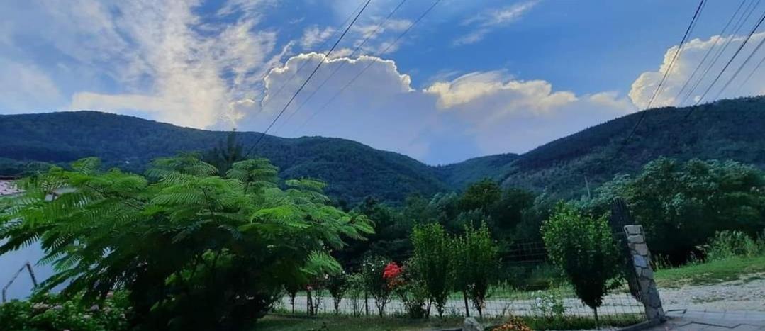 Vila Cabanute Alex Capalna Exteriér fotografie