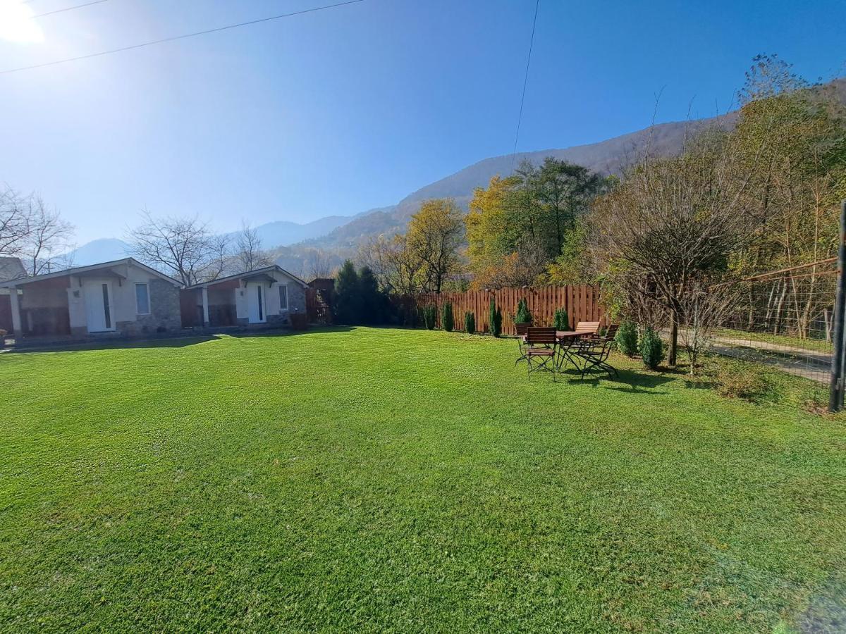 Vila Cabanute Alex Capalna Exteriér fotografie