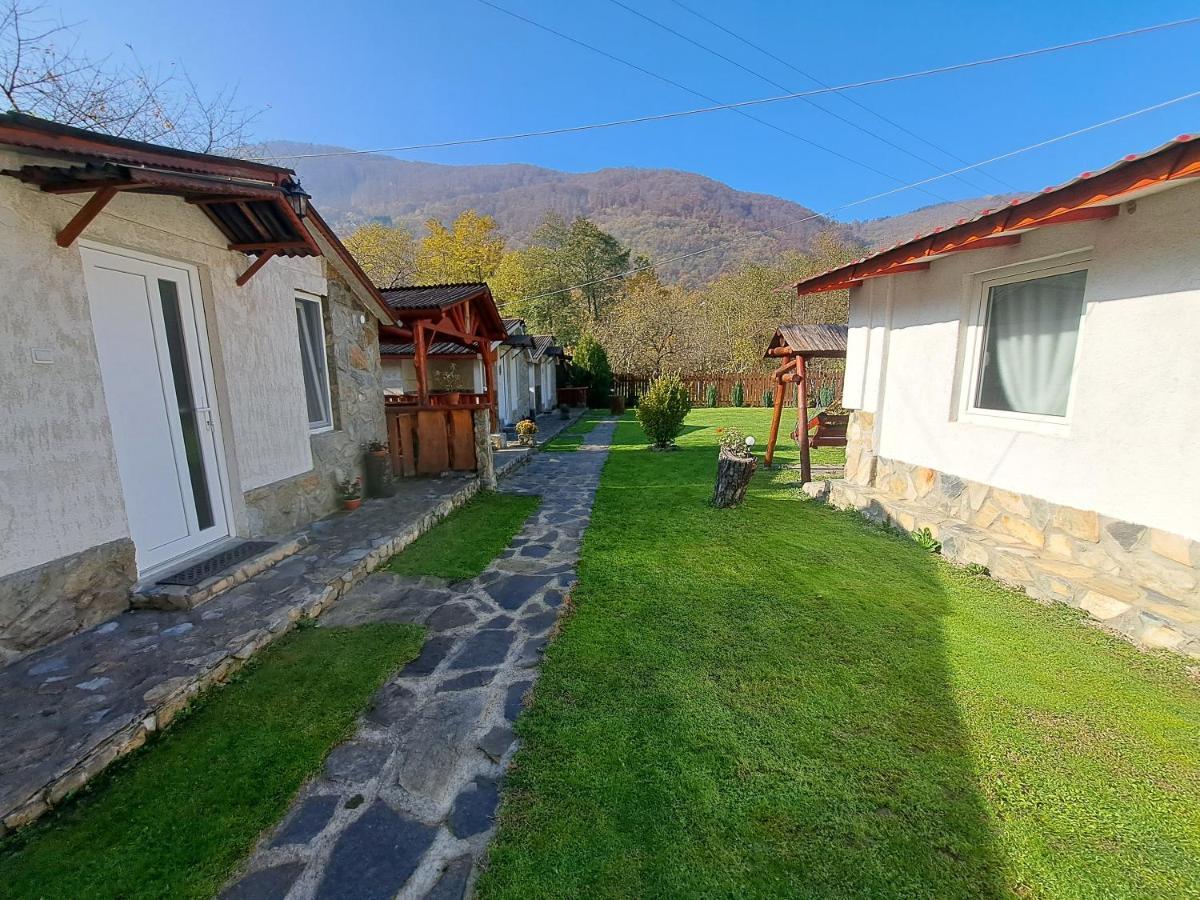 Vila Cabanute Alex Capalna Exteriér fotografie